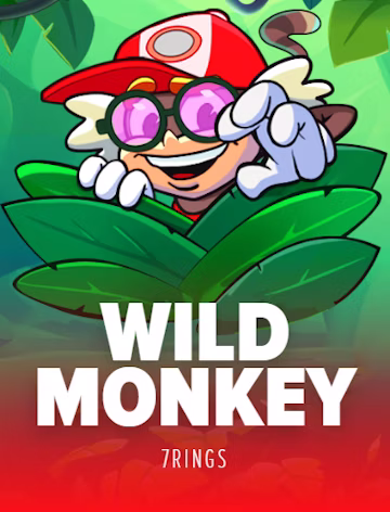 WILD MONKEY